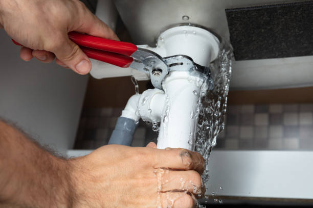 Best Ceiling water damage repair  in Lake Mary Jane, FL