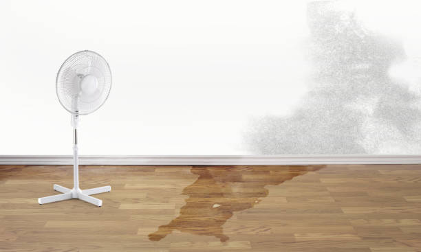 Trusted Lake Mary Jane, FL Water damage restoration Experts